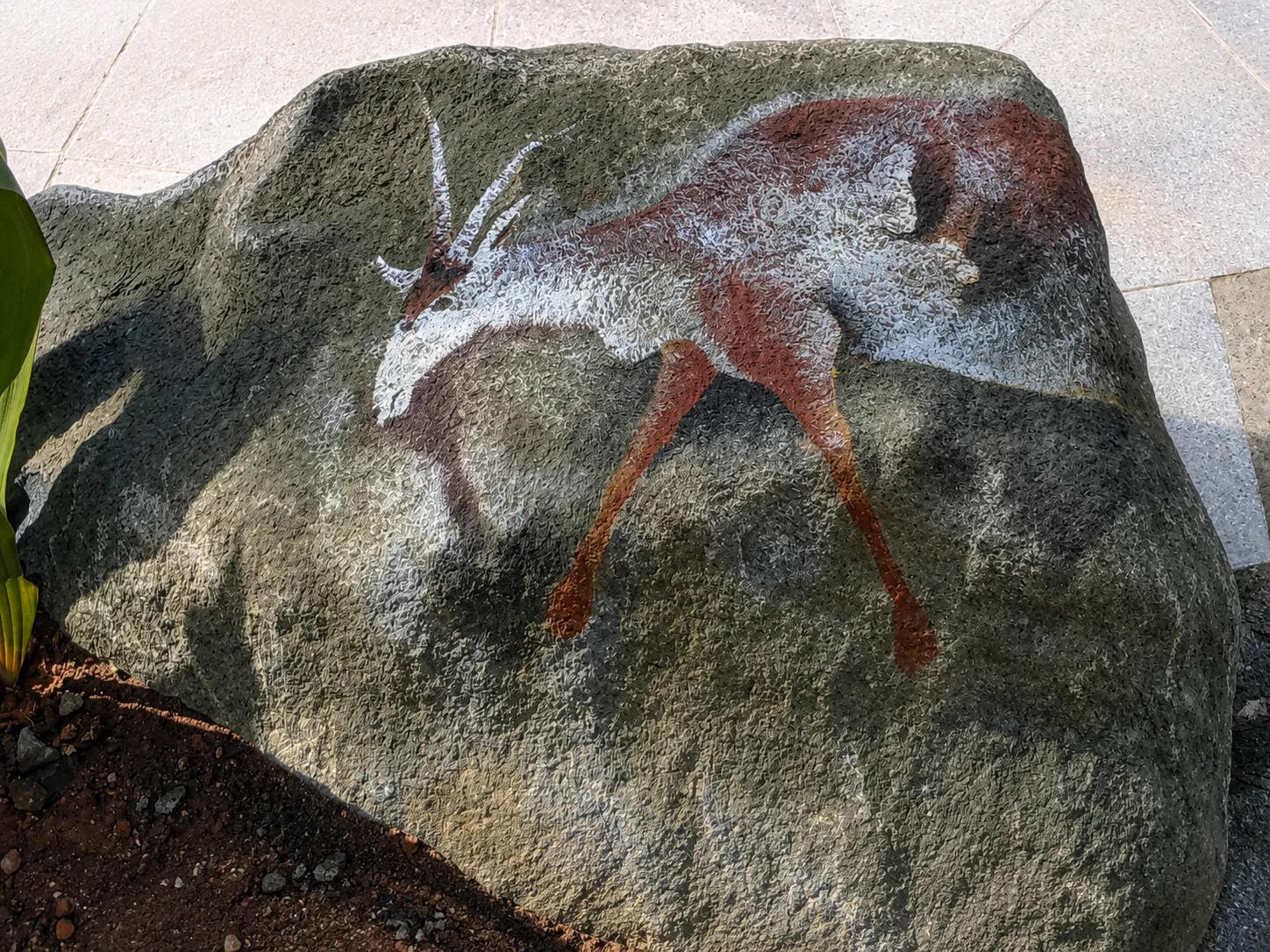 Grazing deer