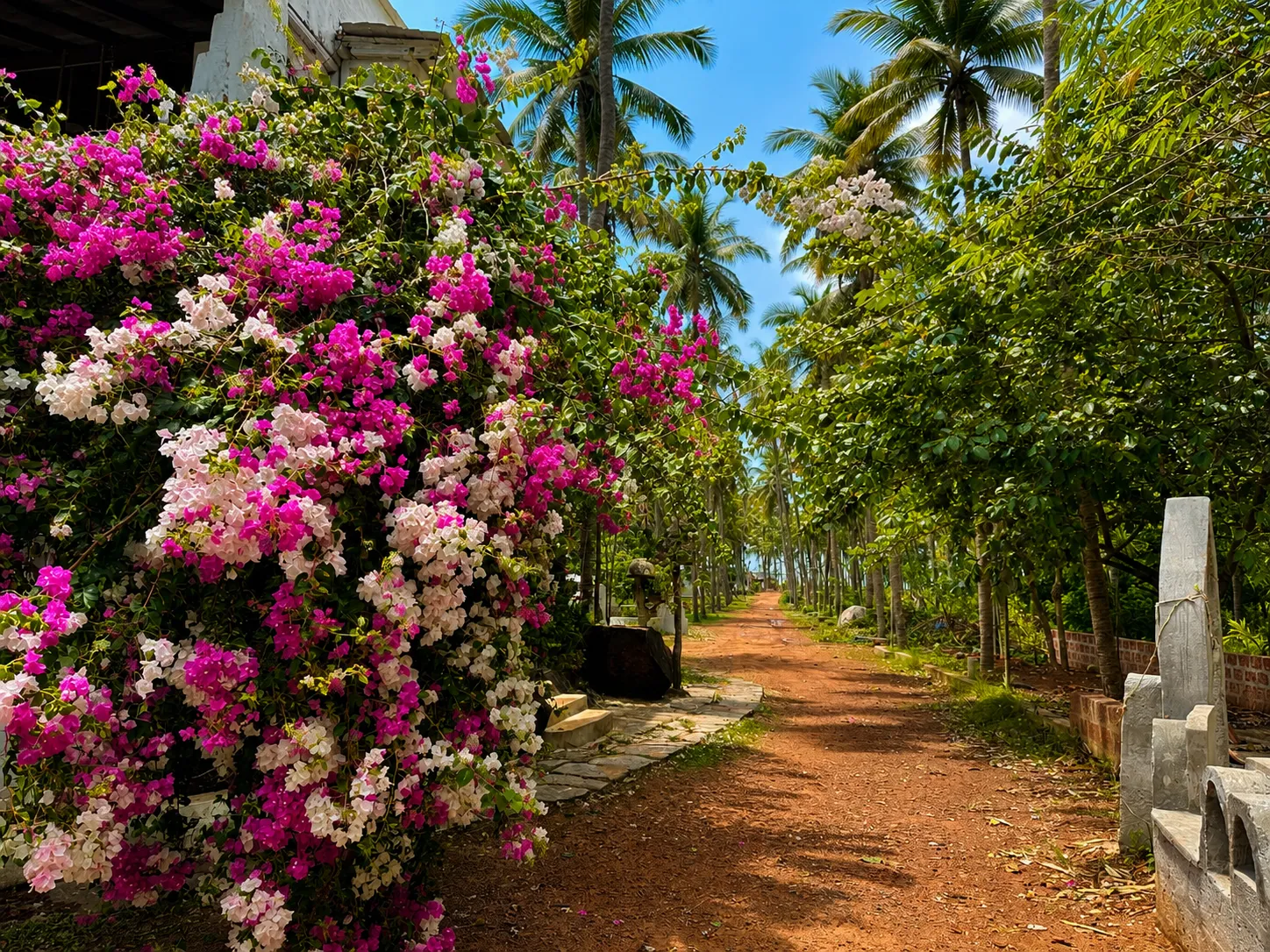 Sanctum Villa and surroundings