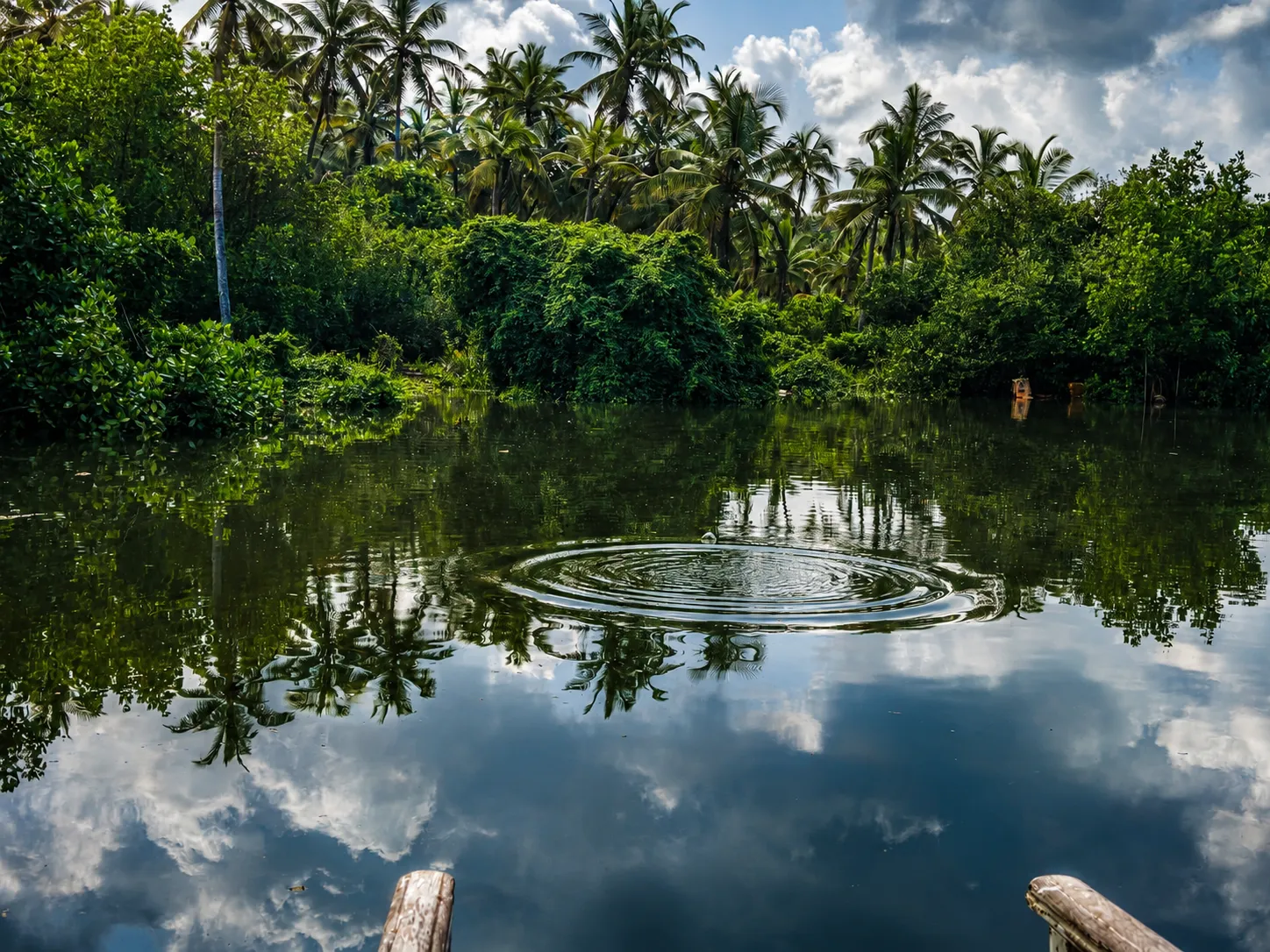 Sanctum Villa and surroundings